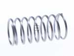 Spring - 1013239 Key Spring [Amica]