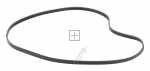 Drive Belts - C00056782 488000056782 Belt L 1123 J4 [Whirlpool Indesit]