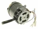 Hood Motors - S48 005 00 4055356143 Motor Anticlockwise Movement [Electrolux Aeg]